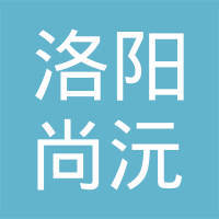 宋民新 洛阳网络科技的破局者与创新领航人